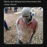 Ndimu Mkata Shombo profil fotoğrafı