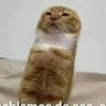 PUMBA's profile picture