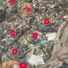 Accountability's profile picture