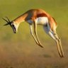 BandH's profile picture