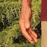 Issalis's profile picture