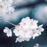 みかな's profile picture
