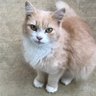 JMGERN profil fotoğrafı