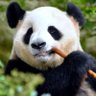 Frederick(一位神秘的高级官员) profil fotoğrafı