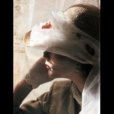 Дафина Натошевић's profile picture