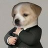 Luquinha ruindade pura's profile picture