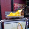 もんたろう 的头像