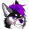 Profilbild von Vex_Wusky