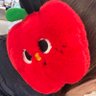 Profilbild von applllles