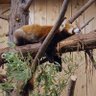 南斗 星 profil fotoğrafı