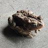Фото профиля Errol Baer