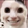 Profilbild von sigma_toilet_king