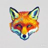 蓝狐's profile picture