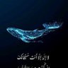 Фото профиля عبدالحبيب بن هادي