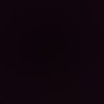 Ariane Catharina's profile picture