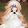 jimothy updates's profile picture