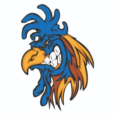 Millonarios FC (Hincha Azul)'s profile picture