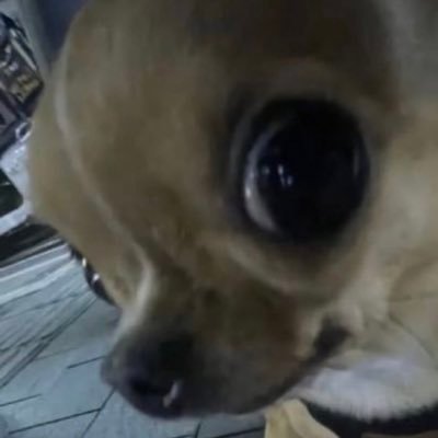 paulaaars's profile picture