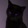Profilbild von Brownie★