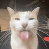 Terq's profile picture