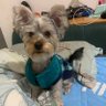 強's profile picture