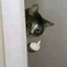 MR_Nameee profil fotoğrafı