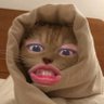 meng😺's profile picture