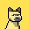 Shed's profile picture
