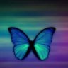 Jayne's profile picture
