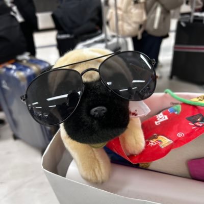 YuPhEngine's profile picture