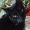 Profilbild von Luis76