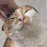 .. profil fotoğrafı