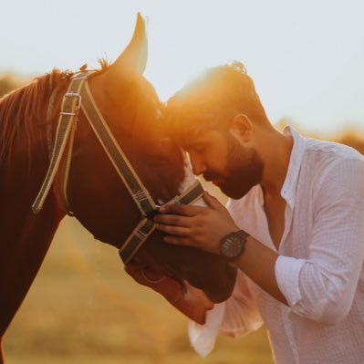 mhmetozcn's profile picture
