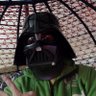 obon yedosee's profile picture