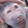 Profilbild von AresTV