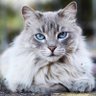Profilbild von Catsy