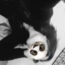 Genelia Takovic ๐ซ's profile picture