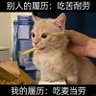 Profilbild von 不想上班