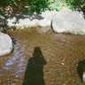 めえ 的头像
