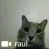 Profilbild von uma pessoa melhor 氷