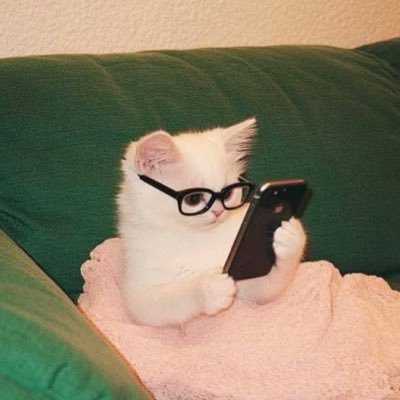 .'s profile picture