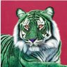 Mr-Sage's profile picture