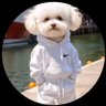 Jay Kilpatrick's profile picture
