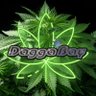 Profilbild von Daggabay®