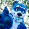 Ziggy Bear's profile picture