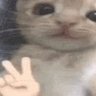 oui aujourd’hui 的头像