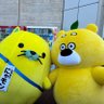 sakae.kamimoto profil fotoğrafı