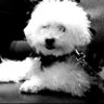ludwig's profile picture