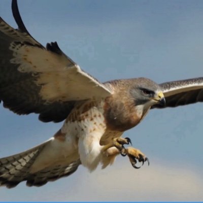 Jim Hawk's profile picture