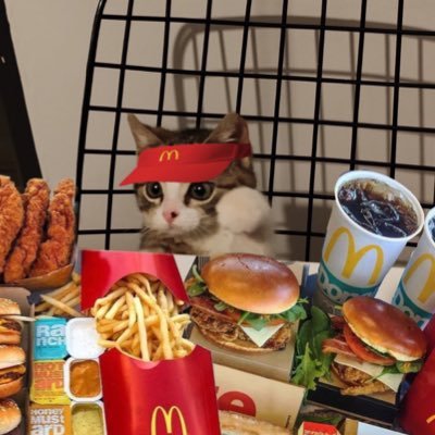 Düğme's profile picture
